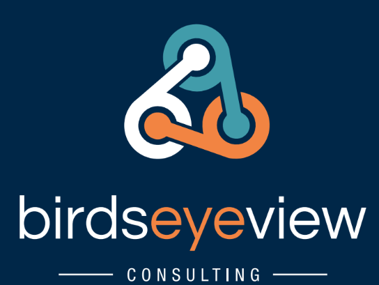 Birds Eye View Consulting