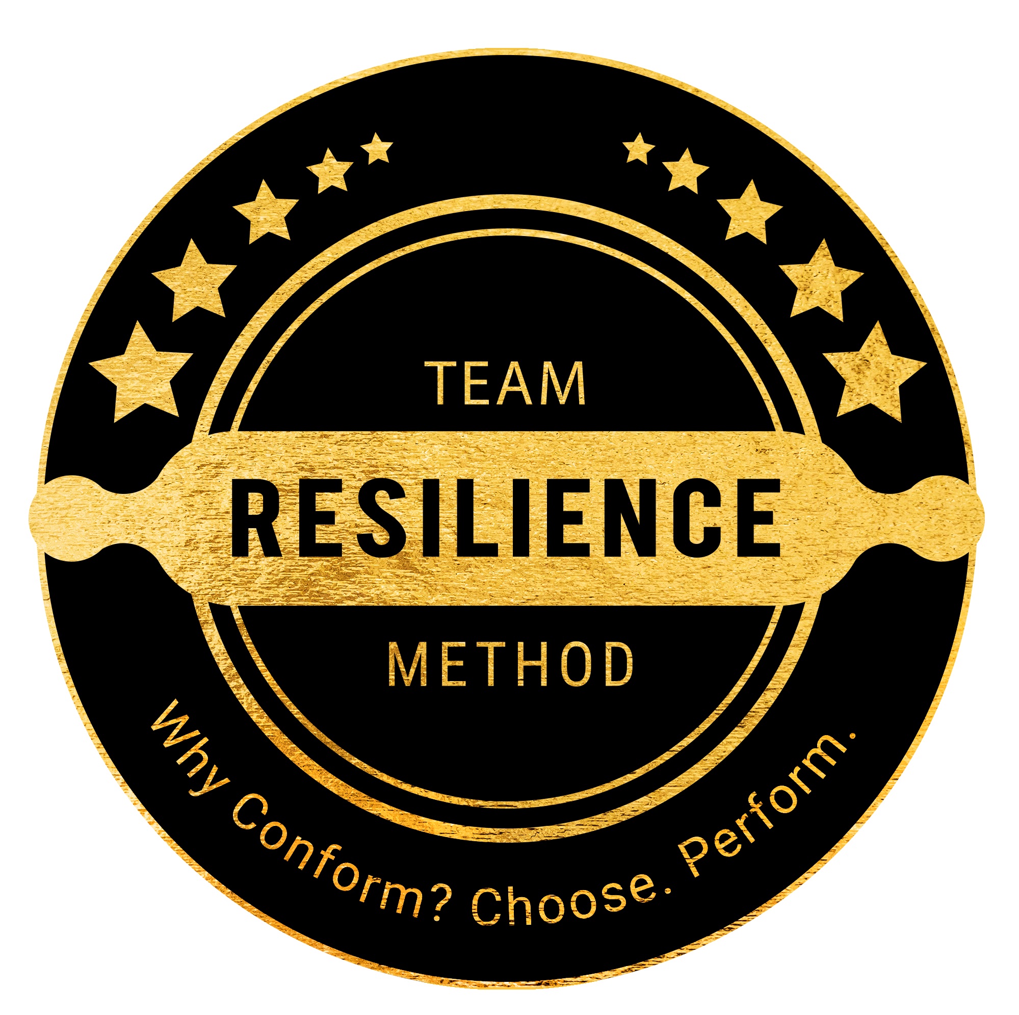 Team Resilience Method